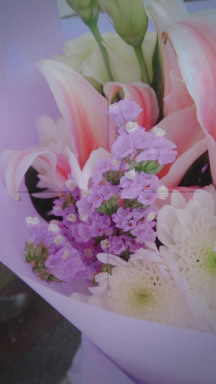 Lavender