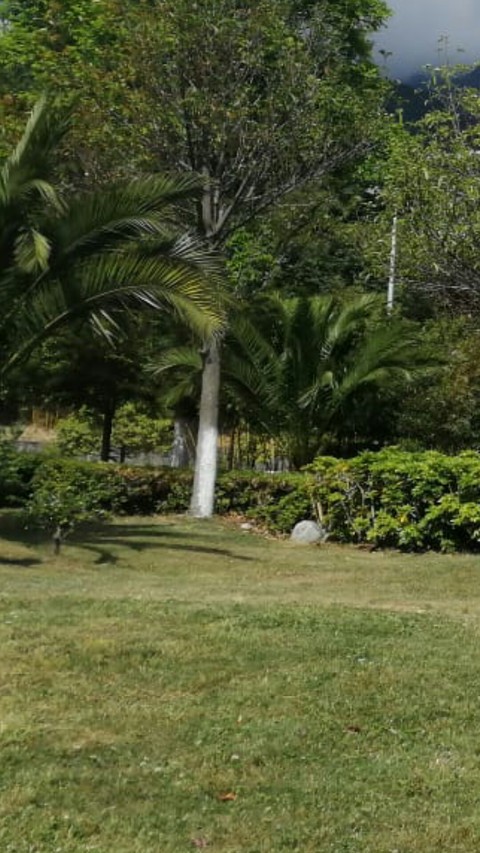 Campus