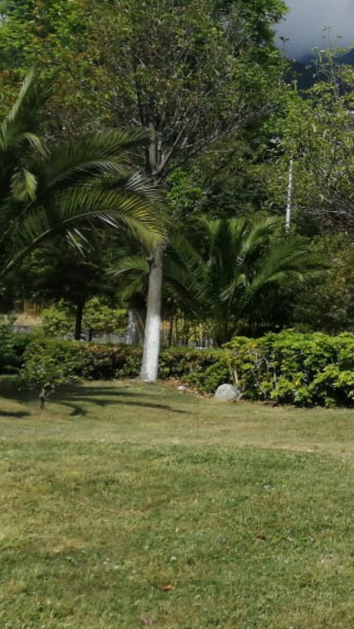 Campus