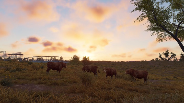 The Crew 2 (Game)