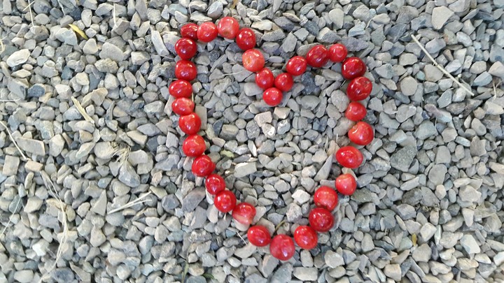cherry Heart ❤❤❤