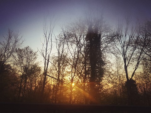 sfondi sun, sunlight