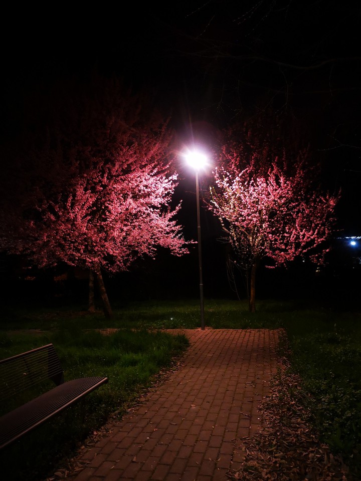Pink ?