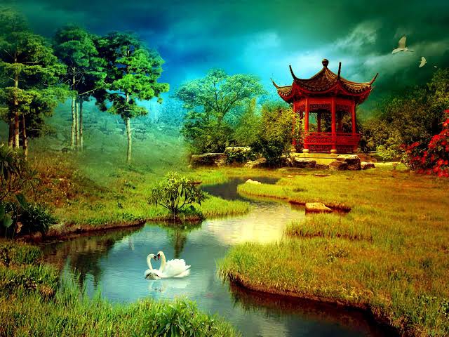 Ducks