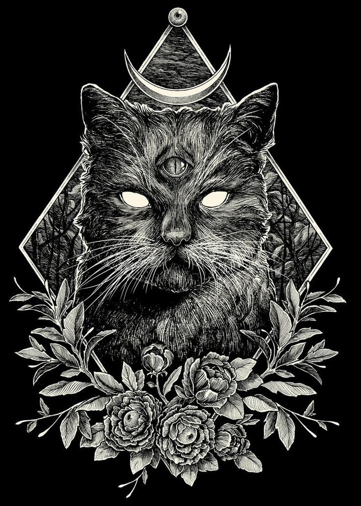 illuminati Cat