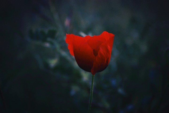 Canon 1300d 18-55mm lens ilk deneyim
