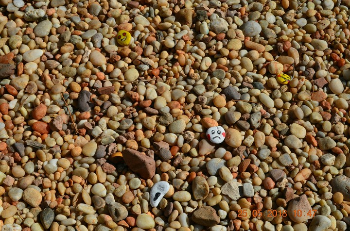 Pebble beach