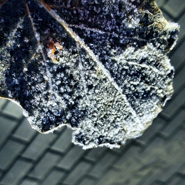 winter