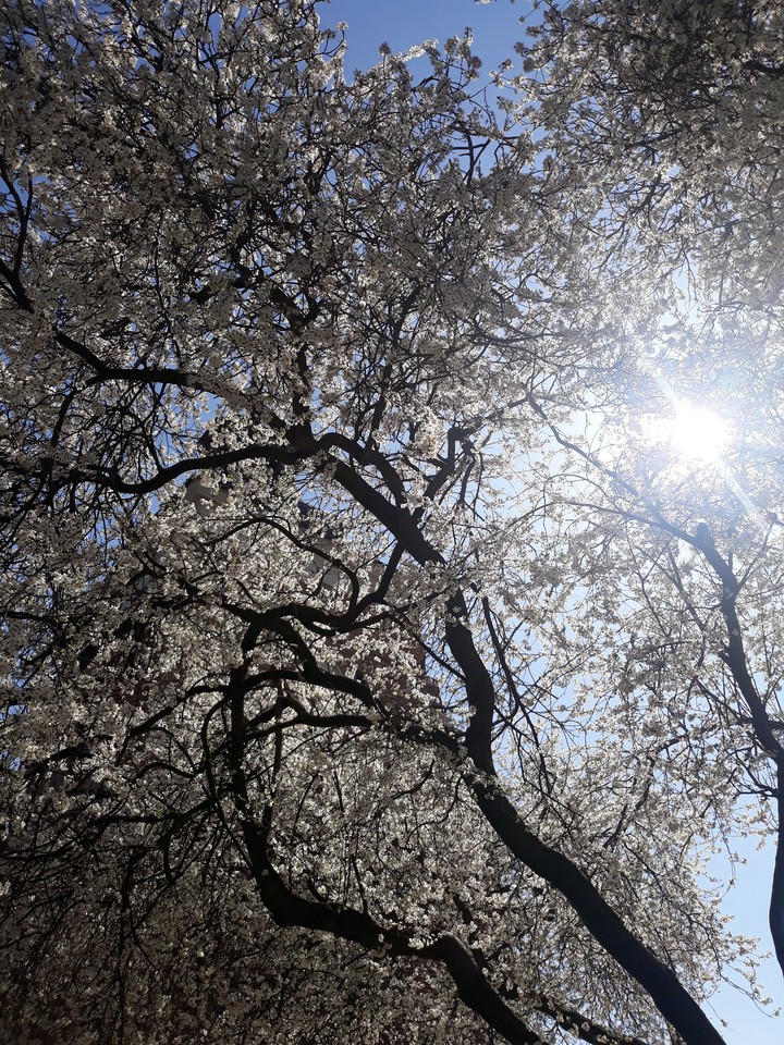 Poland sun