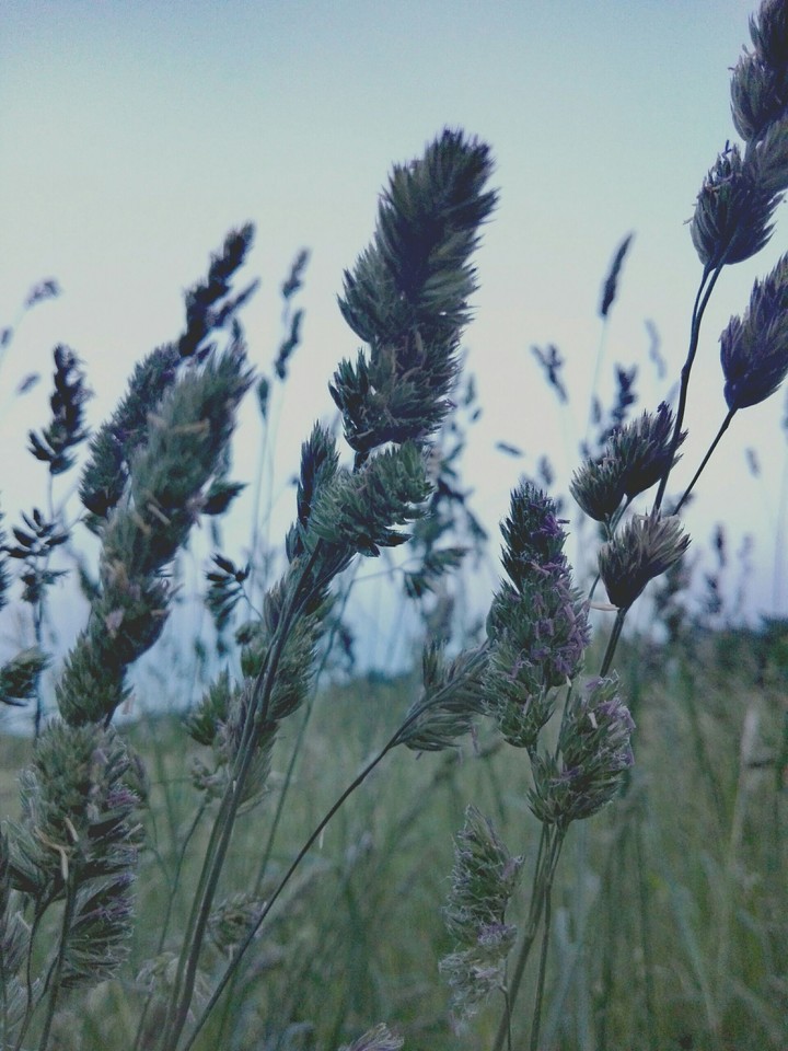 summer