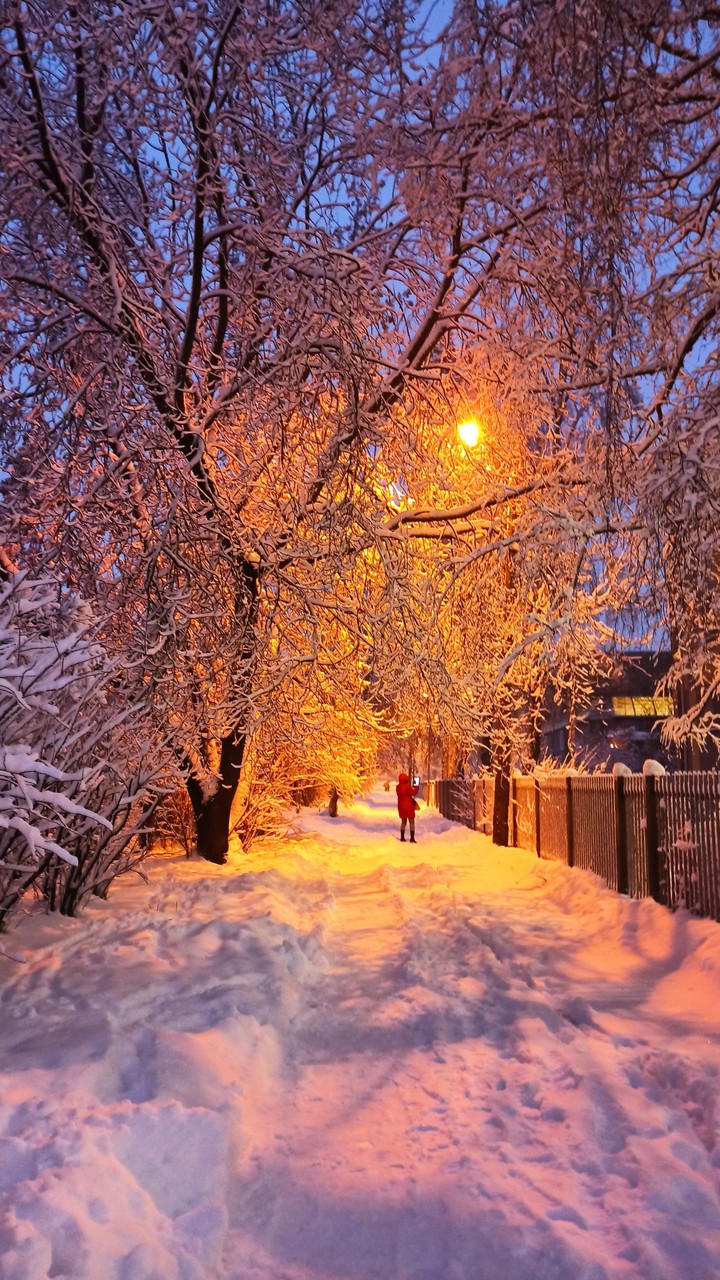winter