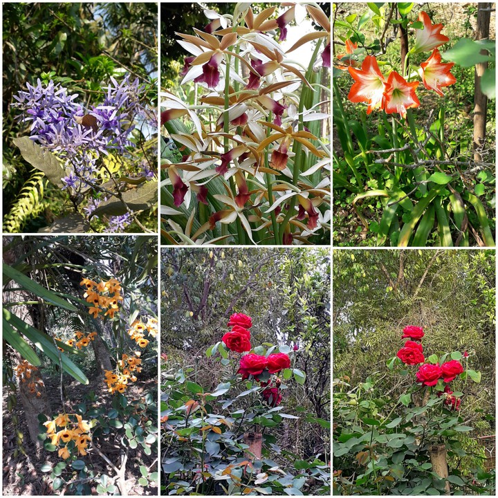 colour of nature
