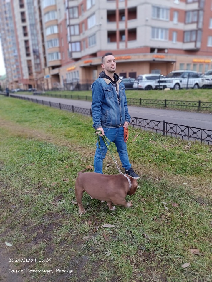 .