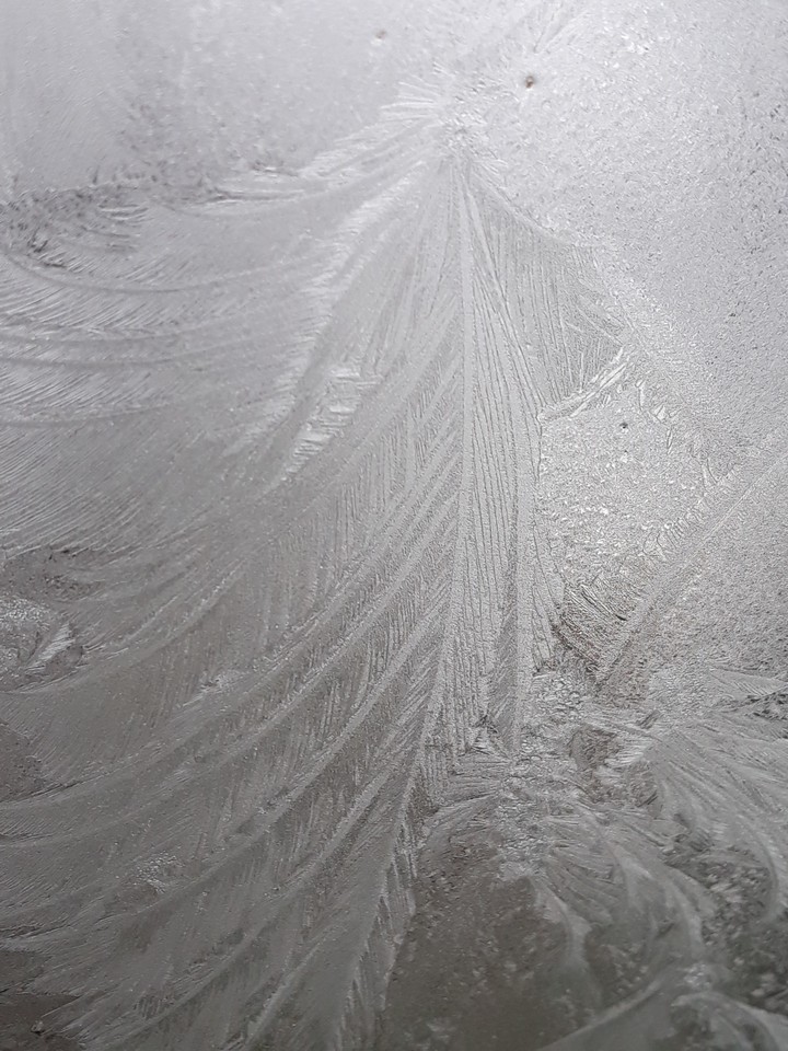 freezing
