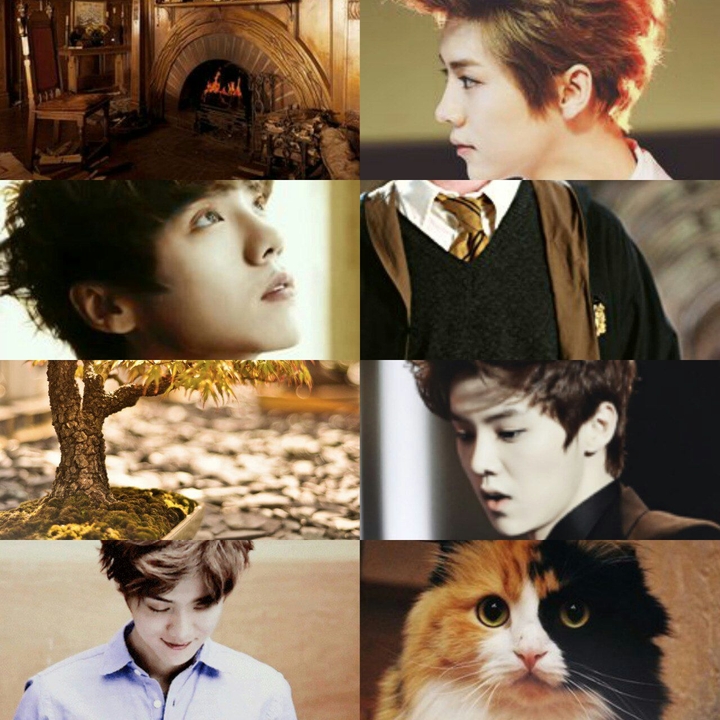 EXO × Harry Potter