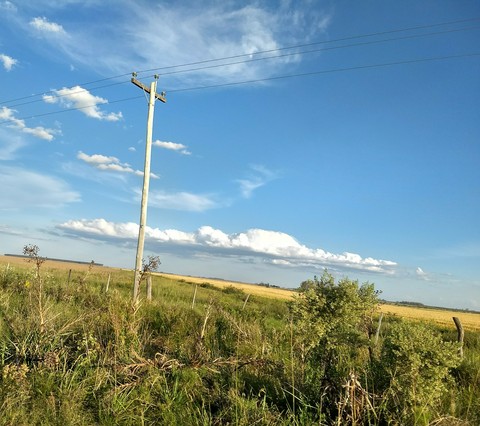 campo