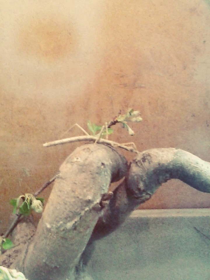Природа