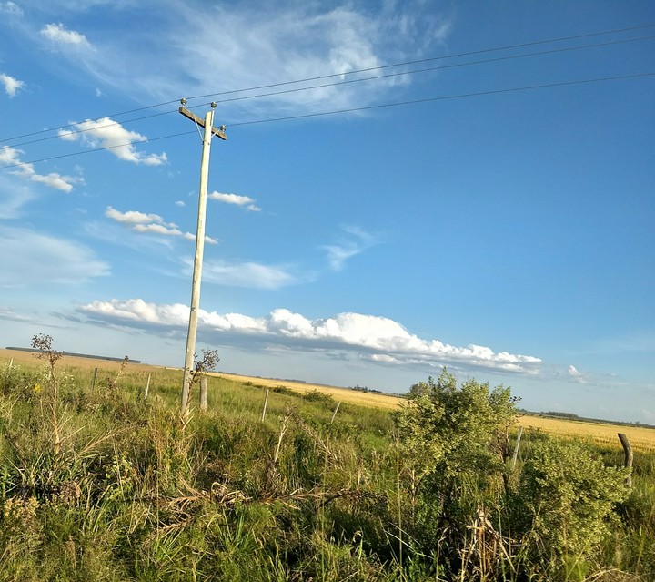 campo