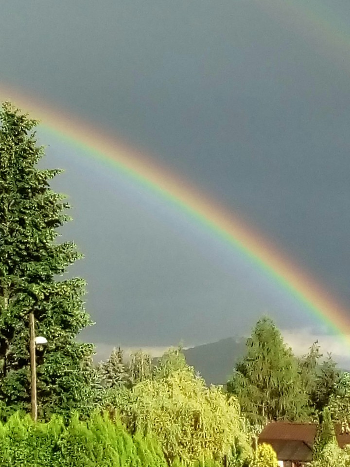 rainbow