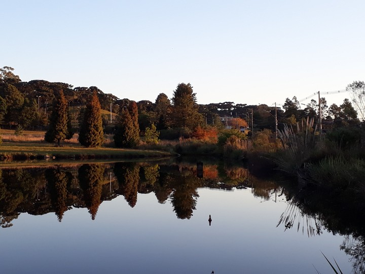lago