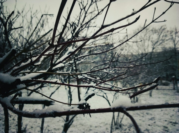 Winter 