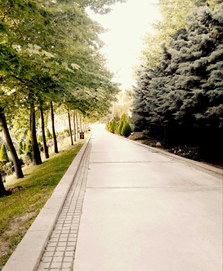 beauty road