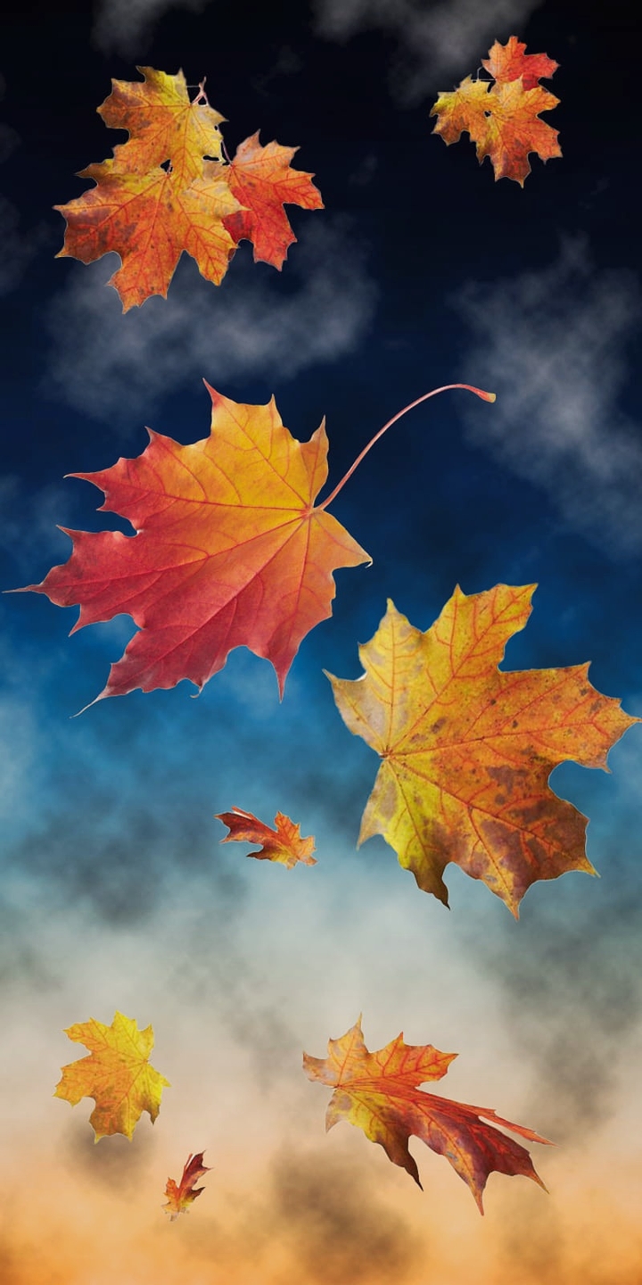 FLUTTERING LEAVES
