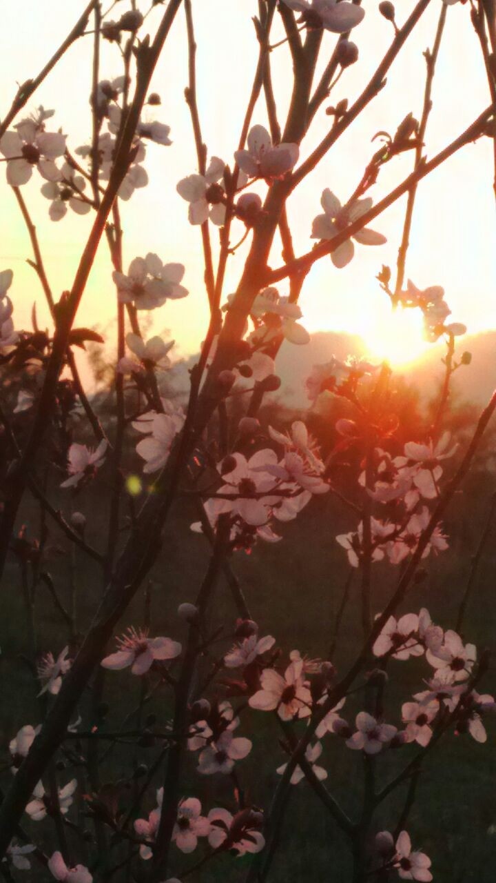 lovely