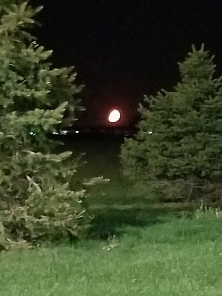Setting Morning Moon
