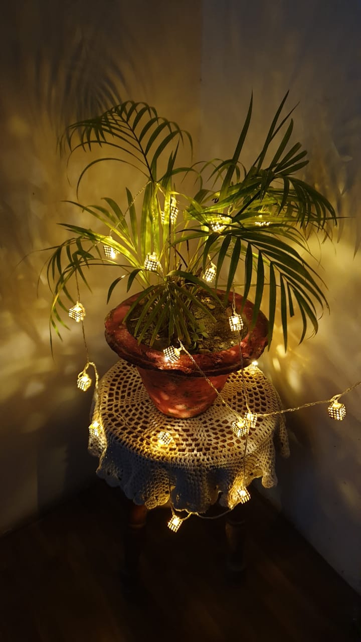 Diwali Blinks