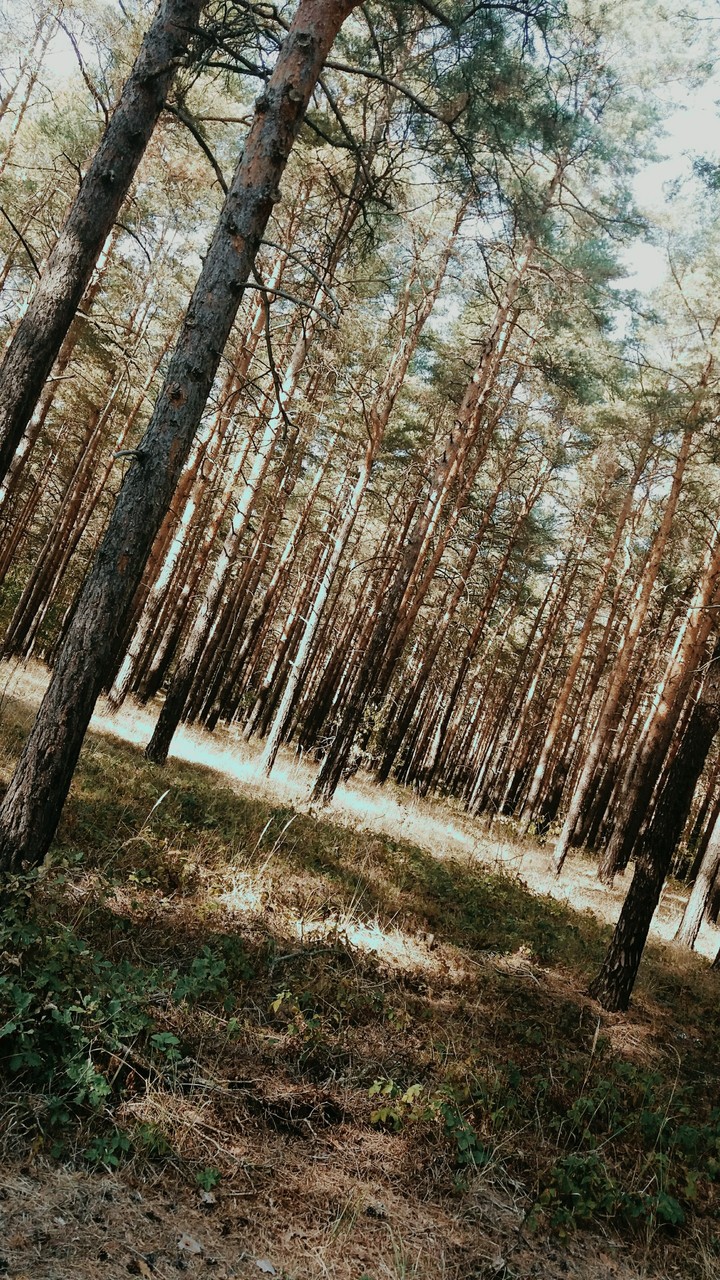 insta: anna11200