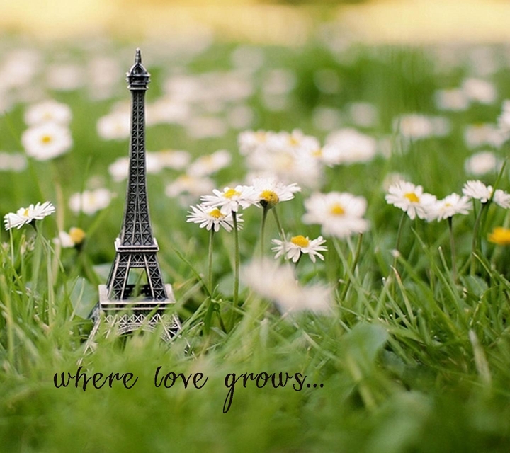 love growth