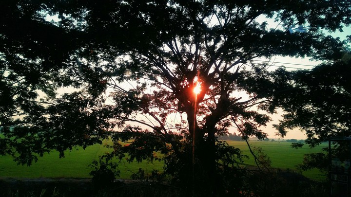 the glow of dawn