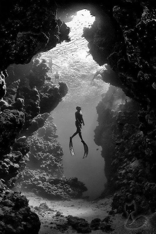 Dive