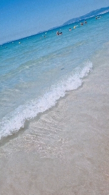 dynamic sea