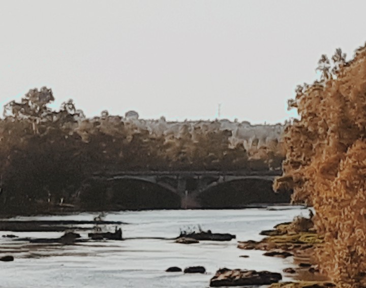 el puente de gibraleon