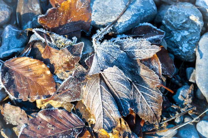 Winter Is Nearly There