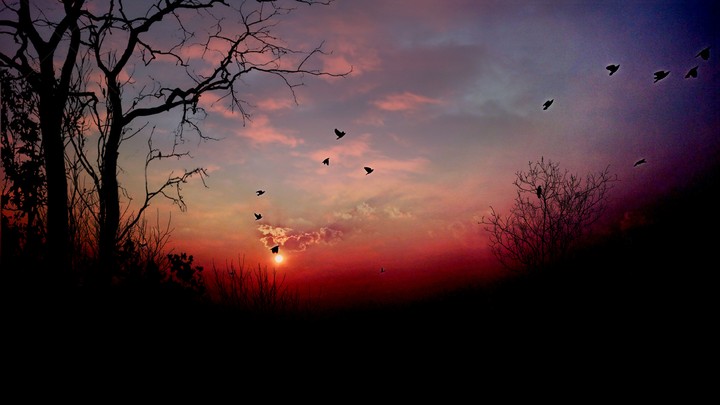 sunset