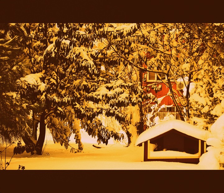winter