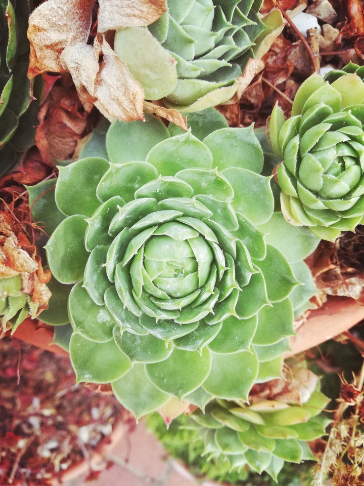Perfect symmetry