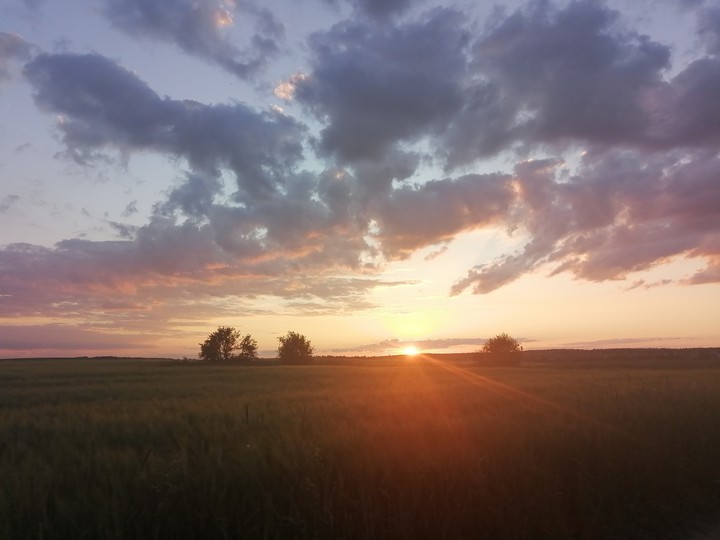 sunset summer?
