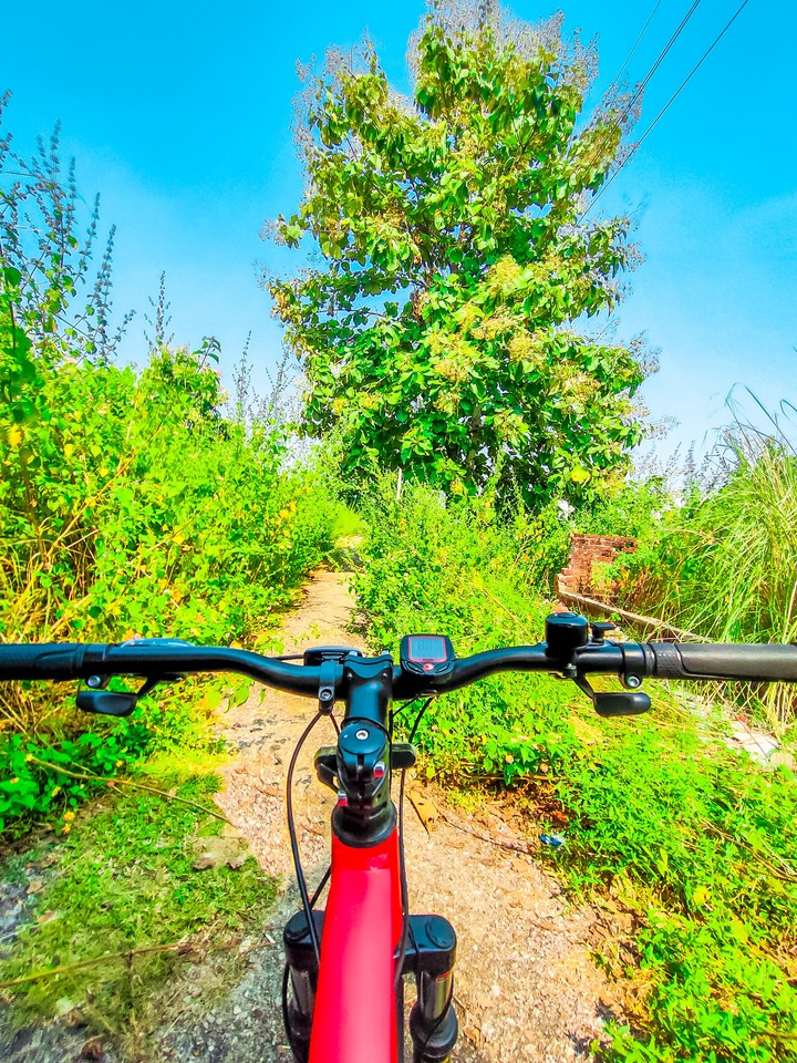 cycling time