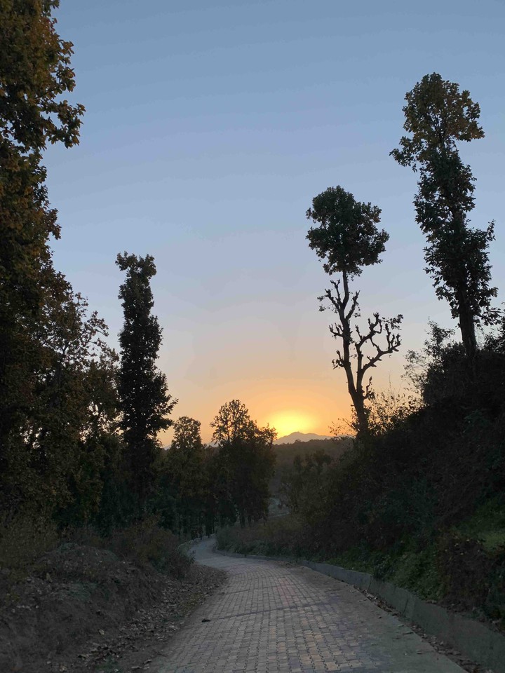 sunrise