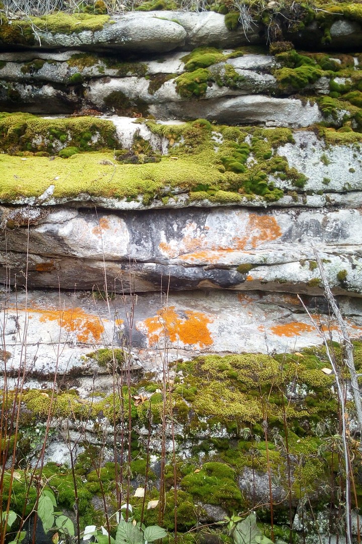 Orange green