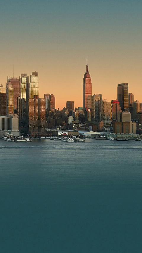 the city