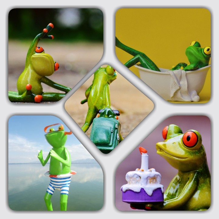 Frog