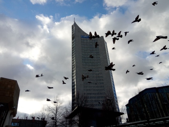 Birds in Leipzig
