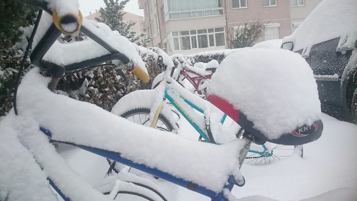 snowly