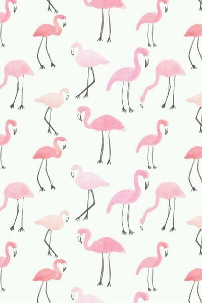 Flamingolar