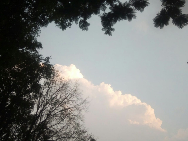 Beautiful Evening